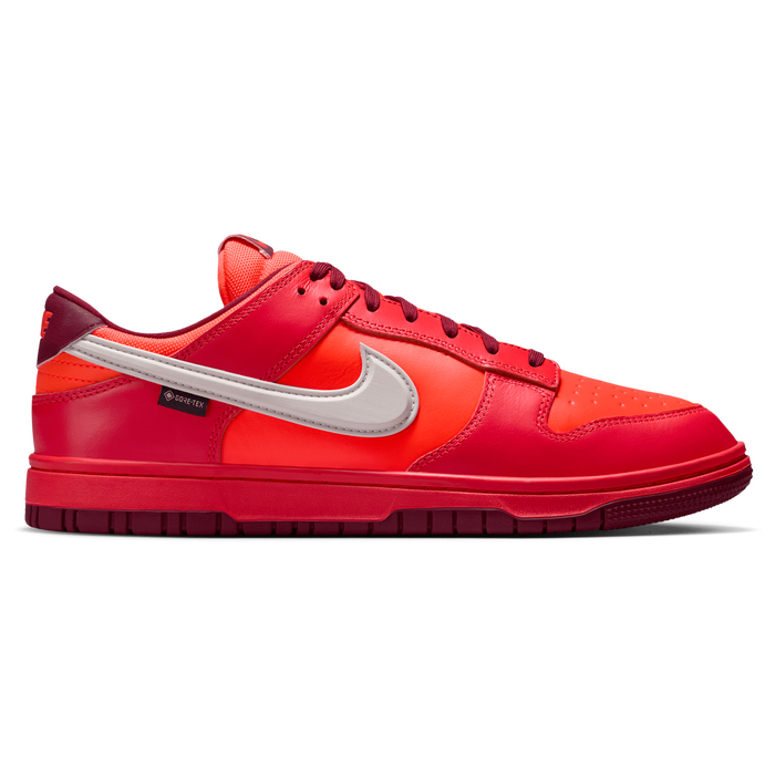 Nike Dunk Low Gore-tex