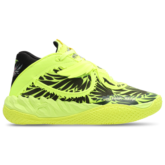 Puma Mb.05 Wings
